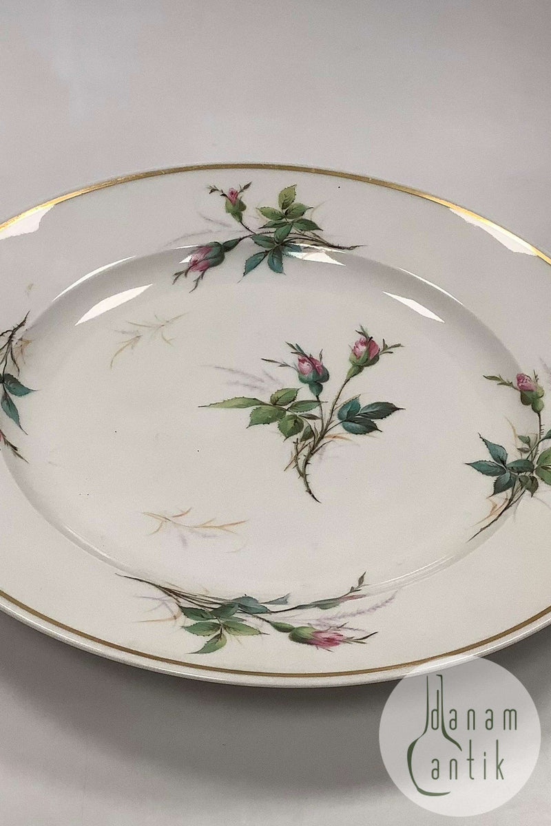 Bing og Grøndahl Antik Rosen Stel Stort rundt fad
