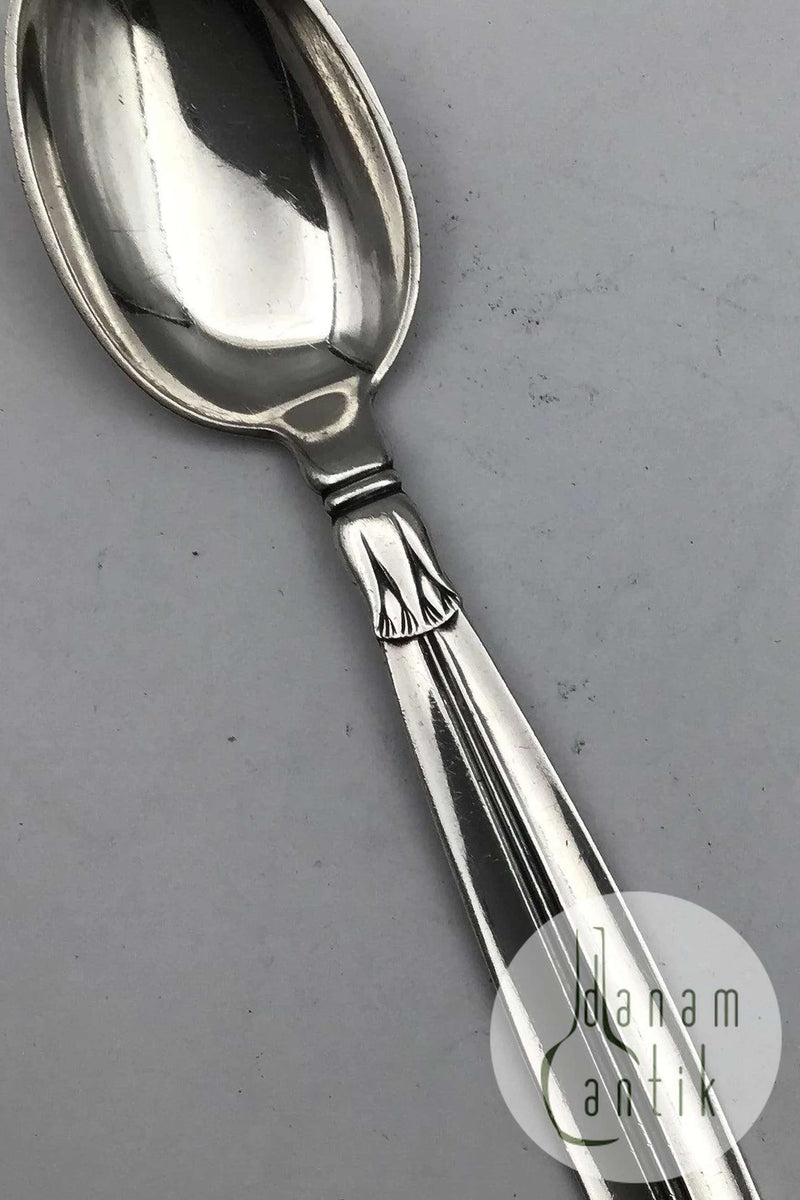 Horsens Silber Lotus Silber Barneske