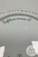 Royal Copenhagen Flora Danica Frokosttallerken No 20/3554 med gennembrudt kant