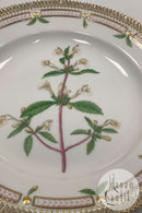 Royal Copenhagen Flora Danica Spisetallerken No. 624 (20/3549)