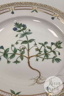 Royal Copenhagen Flora Danica Spisetallerken No. 624 (20/3549)