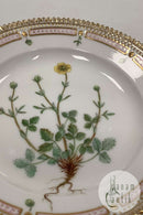 Royal Copenhagen Flora Danica Salad Plate No 20/3573