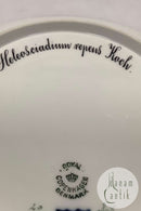 Royal Copenhagen Flora Danica Salat Tallerken No 20/3573