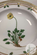 Royal Copenhagen Flora Danica Dyb Tallerken No 20/3546
