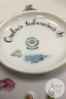 Royal Copenhagen Flora Danica Bouillon Cup with saucer No 20/3612