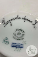 Royal Copenhagen Flora Danica Chocolate Cup No 20 / 3513