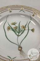 Royal Copenhagen Flora Danica Spisetallerken No. 624 ( 20 / 3549 )