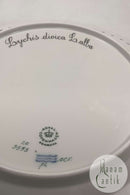 Royal Copenhagen Flora Danica tallerken med gennembrudt kant No 20/3553