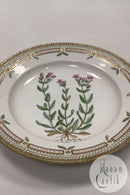 Royal Copenhagen Flora Danica Spisetallerken No. 624 ( 20 / 3549 )