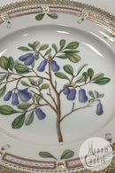 Royal Copenhagen Flora Danica Spisetallerken No. 624 ( 20 / 3549 )