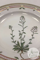 Royal Copenhagen Flora Danica Spisetallerken No. 624 ( 20 / 3549 )