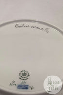 Royal Copenhagen Flora Danica Spisetallerken No. 624 ( 20 / 3549 )