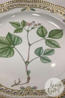 Royal Copenhagen Flora Danica Tallerken med gennembrudt kant No 20 / 3526