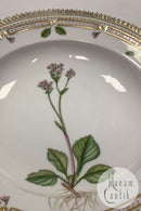 Royal Copenhagen Flora Danica Dyb Tallerken No 20/3546 eller 604