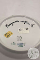 Royal Copenhagen Flora Danica Salad Plate No 20 / 3573