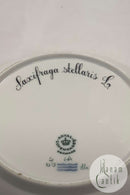 Royal Copenhagen Flora Danica Salat Tallerken No 20/3573