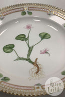 Royal Copenhagen Flora Danica Salat Tallerken No 20 / 3573