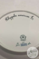 Royal Copenhagen Flora Danica Salat Tallerken No 20 / 3573