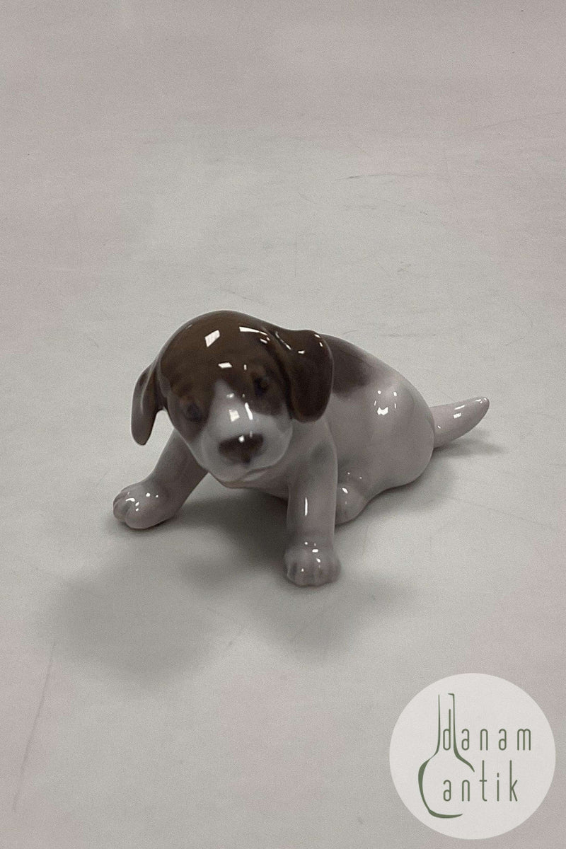 Royal Copenhagen Figur af Pointer Hvalp No. 1311