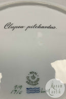 Royal Copenhagen Grøn Fisketallerken No 919/1710 med Clupea pilchcardus