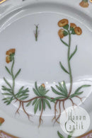 Royal Copenhagen Flora Danica Cake Plate No. 20/3552