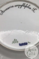 Tidlig Royal Copenhagen Flora Danica Spisetallerken No. 20 / 3549