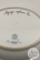 Royal Copenhagen Flora Danica Spisetallerken No. 20 / 3549