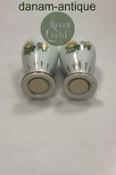 Bing and Grondahl Erantis Salt and Pepper Set No. 52 A/B