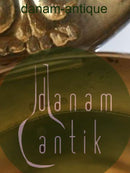 阿克塞尔-霍尔姆银盒，有鸟和叶子的图案，内部镀金。