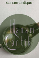 Sølvkande med lang næb