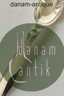 Georg Jensen Sterling Silver Cactus Child Spoon No 031