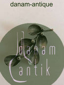 N.E. From Broche i Sterling Sølv