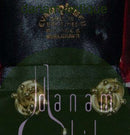 Evald Nielsen 14k Guld Øreskruer med original boks