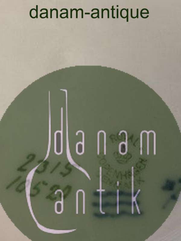 Royal Copenhagen Art Nouvau Tallerkener med Blomster. Frokosttallerkener No 10520