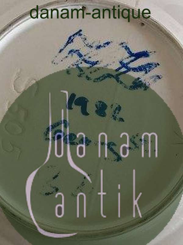 Royal Copenhagen Georg Stage Prøve Motiv Platte fra 1982 (Har Store Brændingsfejl)