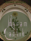 Royal Copenhagen Flora Danica Beistellteller Nr. 355