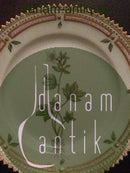 皇家哥本哈根Flora Danica侧盘No 3552