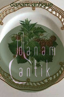 Royal Copenhagen Flora Danica Fruit Plate No 429/3584. Measures 22cm and is in perfect condition. Pre 1900   No 103