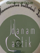 Royal Copenhagen Flora Danica Mittagsteller mit durchbrochenem Rand Nr. 3554