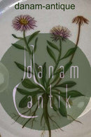 Royal Copenhagen Flora Danica Mittagsteller Nr. 20/3554 mit durchbrochenem Rand