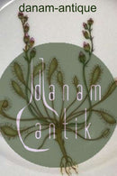 Royal Copenhagen Flora Danica Servierplatte Nr. 20/3552