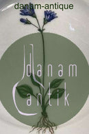 Royal Copenhagen Flora Danica Dessertteller Nr. 20/3551