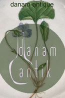 Royal Copenhagen Flora Danica Dessertteller Nr. 20/3551