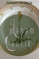 Royal Copenhagen Flora Danica Mittagessen Teller 20/3550 neue Nummer 622