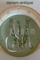 Royal Copenhagen Flora Danica Dinner Plate No 20/3549