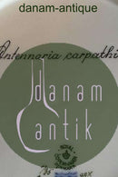 ロイヤルコペンハーゲン フローラダニカ ディナープレート No 735/3549