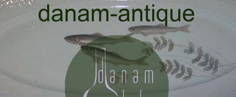 Royal Copenhagen Skærsommernatsdrøm/Marguerite Stort Sjældent Fiske Fad No 116/9511