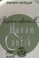 Royal Copenhagen Flora Danica Tiefer Teller Nr. 735/3545