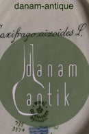 Royal Copenhagen Flora Danica Oval Asiet Nr. 735/3540