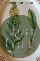 Royal Copenhagen Flora Danica Stort ovalt serveringsfad no. 3520 / 374